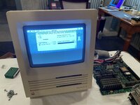 IMG_2430.jpeg