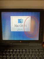 331020169_847697359661451_1893591054206366825_n.jpg