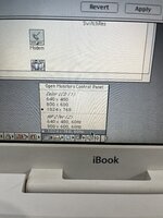 IMG_4898.jpeg IMG_4898.jpeg