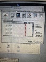 IMG_4896.jpeg IMG_4896.jpeg