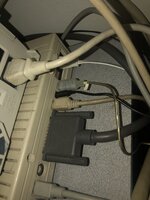 IMG_8313.jpg IMG_8313.jpg