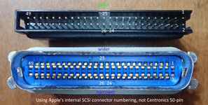 SCSI-terminator-pin-numbering.jpg SCSI-terminator-pin-numbering.jpg
