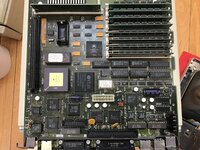 320903E3-0C76-46D1-B249-80B6DC30FD4A.jpeg 320903E3-0C76-46D1-B249-80B6DC30FD4A.jpeg