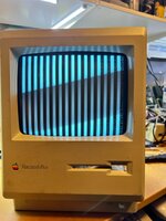 IMG_5403.jpeg