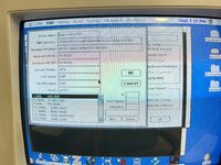 IMG_6048.jpeg