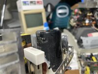 IMG_8883.jpeg IMG_8883.jpeg