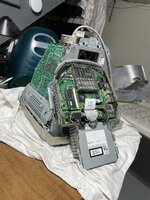 IMG_8897.jpeg