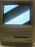 IMG_4450.jpg