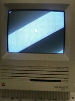 IMG_4452.jpg