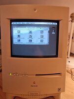 20230331_191356.jpg