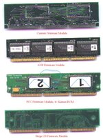 ROM_Modules_back.jpg