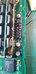 20230403 before capping3.jpg