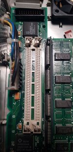 20230405_203600 half-size.jpg