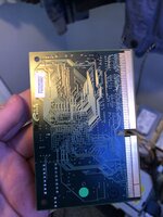 IMG_1317.jpeg