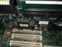 IMG_1319.jpeg