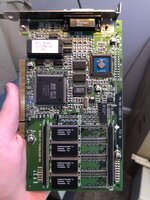 IMG_1310.jpeg