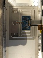 IMG_2681.jpeg