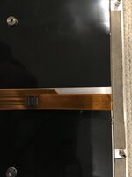 IMG_2682.jpeg