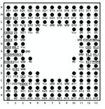 Screenshot_20230501_133831_Photo Editor.jpg