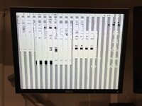 IMG_4028.jpeg