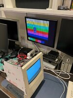 IMG_4021.jpeg