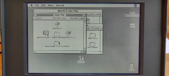 WhatsApp Image 2023-05-07 at 18.53.29.jpeg