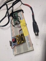 PXL_20230416_024536822.jpg