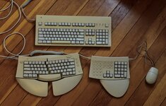 IMG_7984.jpeg
