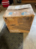 IMG_3913.jpeg
