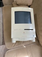 IMG_3914.jpeg