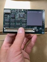 IMG_3916.jpeg