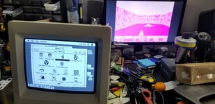 Mac SE/30 with Micron Xceed and Daystar Turbo 040 External