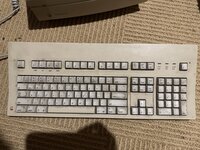 C29AC2DE-70C0-459D-9C83-990516FF0288.jpeg