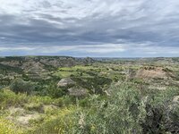 IMG_7427.jpeg