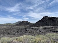 IMG_7449.jpeg