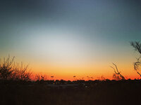 D146489D-9C69-4421-9653-175AC5F0D404.jpeg
