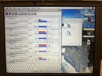 IMG_6324.jpeg