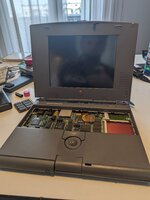 PXL_20230705_161353458.jpg