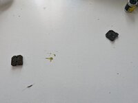 PXL_20230705_131236431.jpg