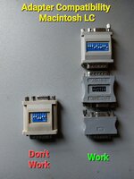 20230705_203557.jpg