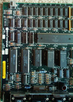 Bundle1.jpg