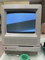 IMG_4065.jpeg