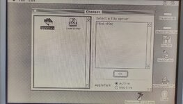 WhatsApp Image 2023-07-11 at 12.50.43.jpeg