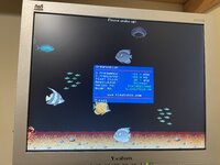 E0859E85-E99C-44E4-B574-0FC2B46176E3.jpeg