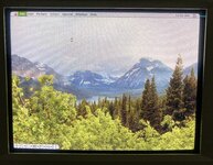 IMG_6945.jpg