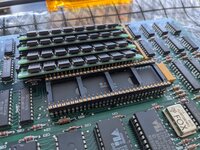 Plus pin headers.jpg Plus pin headers.jpg