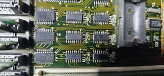 20230725_074908.jpg