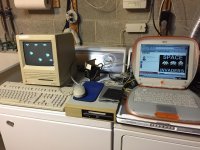 2017-03-12 08.04.40.jpg