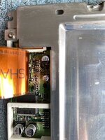 IMG_2555.jpeg