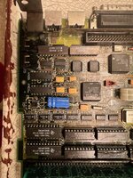 IMG_4554.jpeg